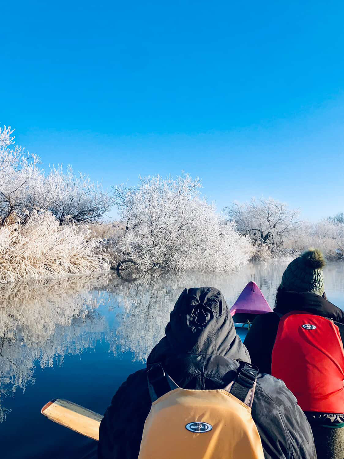 冬季 アレキナイ川往復コース